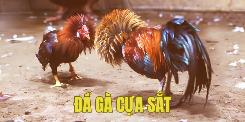 Banner www.nguyenlieubanh.com